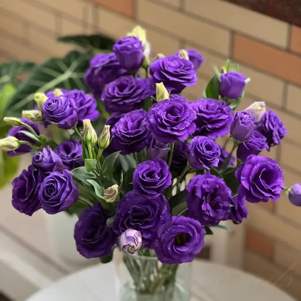 💜 Fioletowy