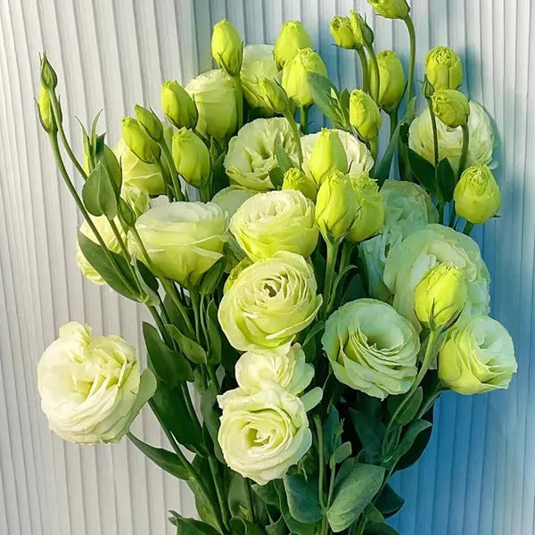 💚 Zielony